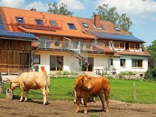 Der Gripshof