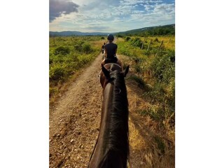 Horseback riding in Medvidovic Ranch