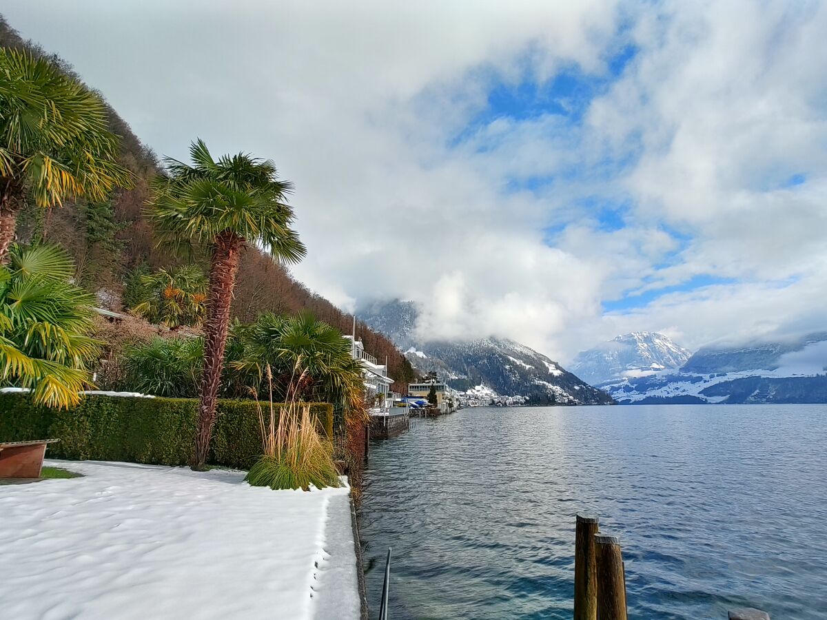 Winter am See