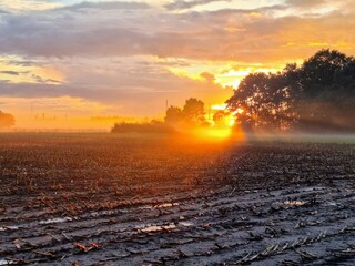 Sonnenuntergang im Moor