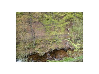 Ferienwohnung Ilsenburg Ausstattung 13