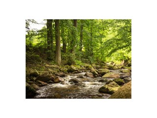 Ferienwohnung Ilsenburg Ausstattung 18