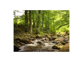 Ferienwohnung Ilsenburg Ausstattung 16