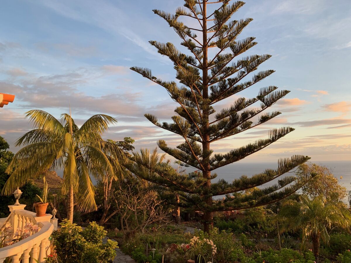 Vakantiehuis Fuencaliente de la Palma Buitenaudio-opname 1