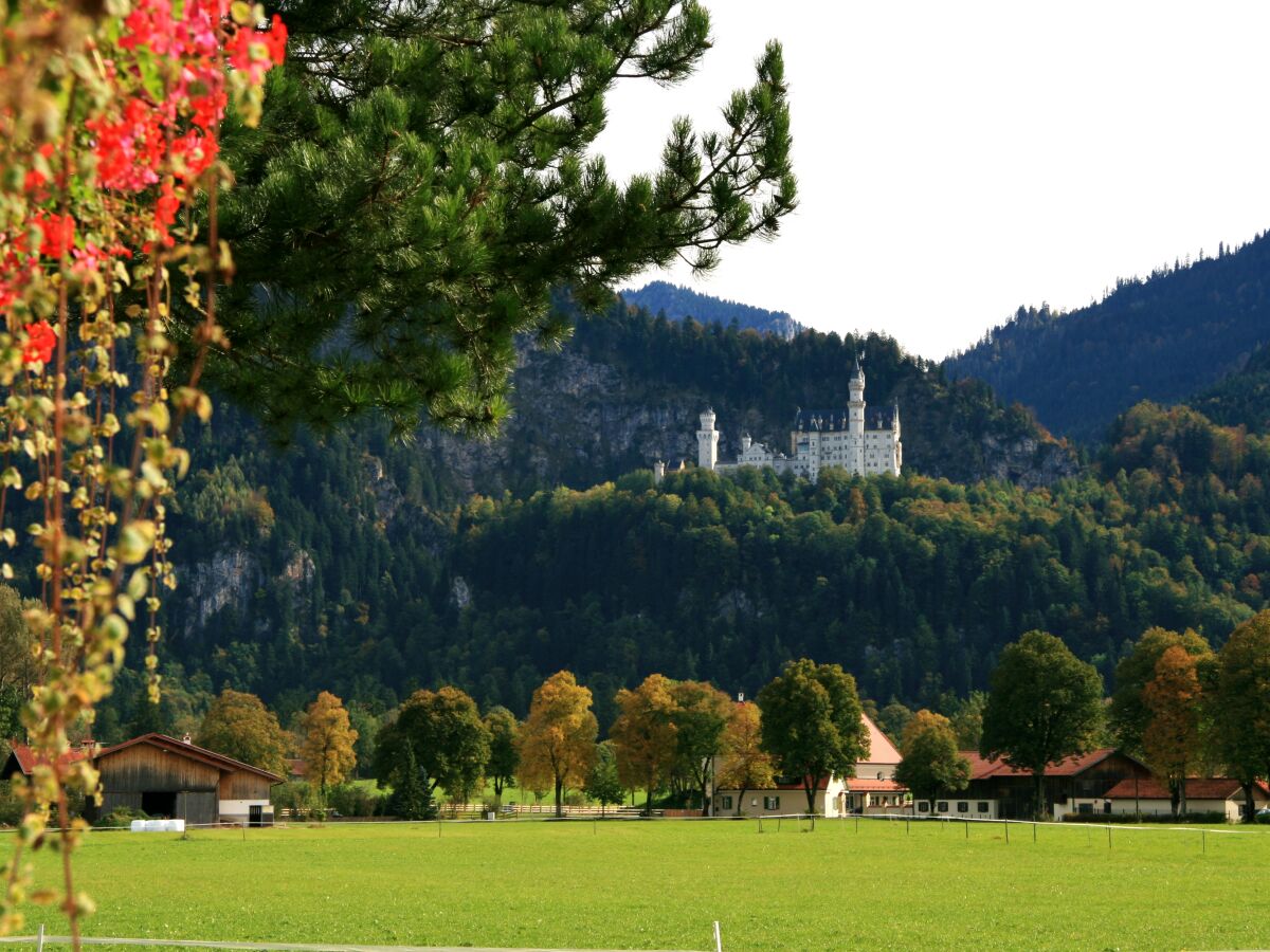 Appartamento per vacanze Schwangau Registrazione all'aperto 1