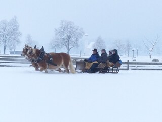 Appartamento per vacanze Schwangau Registrazione all'aperto 10
