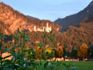 Appartamento per vacanze Schwangau Registrazione all'aperto 12