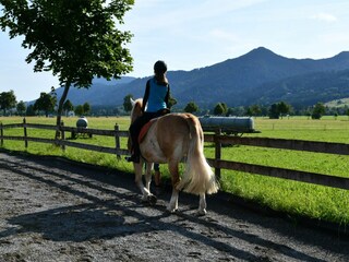 Appartamento per vacanze Schwangau Registrazione all'aperto 14