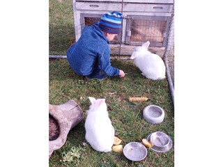 Appartamento per vacanze Schwangau Registrazione all'aperto 16