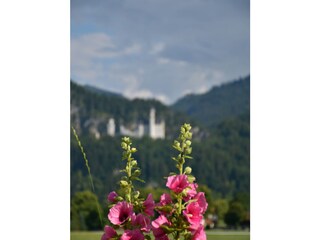 Apartamento de vacaciones Schwangau Grabación al aire libre 17