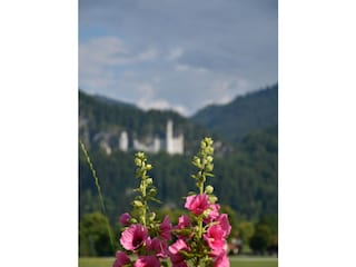 Ferienwohnung Schwangau Außenaufnahme 17