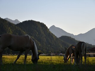 Apartamento de vacaciones Schwangau Grabación al aire libre 18