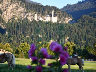 Appartement de vacances Schwangau Enregistrement extérieur 19