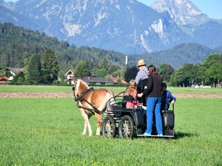 Ferienwohnung Schwangau Außenaufnahme 22