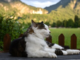 Appartamento per vacanze Schwangau Registrazione all'aperto 27