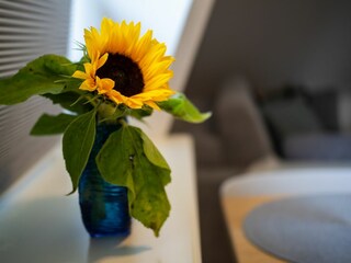 Ferienwohnung Westerland Außenaufnahme 5