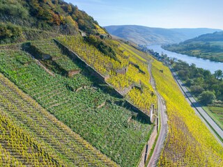 Steillagen-Weinberge Merler Königslay