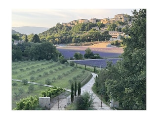View from our terrace : hilltop village Menerbes