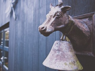 Appartamento Warmenhuizen Registrazione all'aperto 4