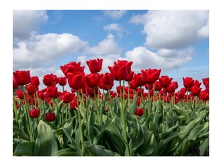 Appartamento Warmenhuizen Ambiente 25