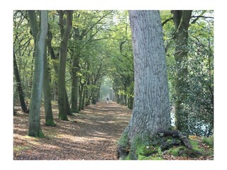 Appartamento Warmenhuizen Ambiente 27