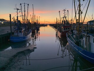 Dorum-Neufeld Kutterhafen