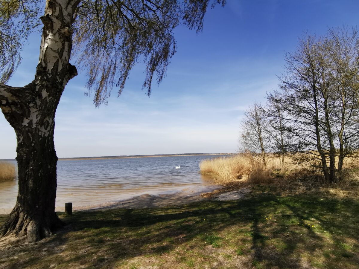 Badestelle bei Vogelsang