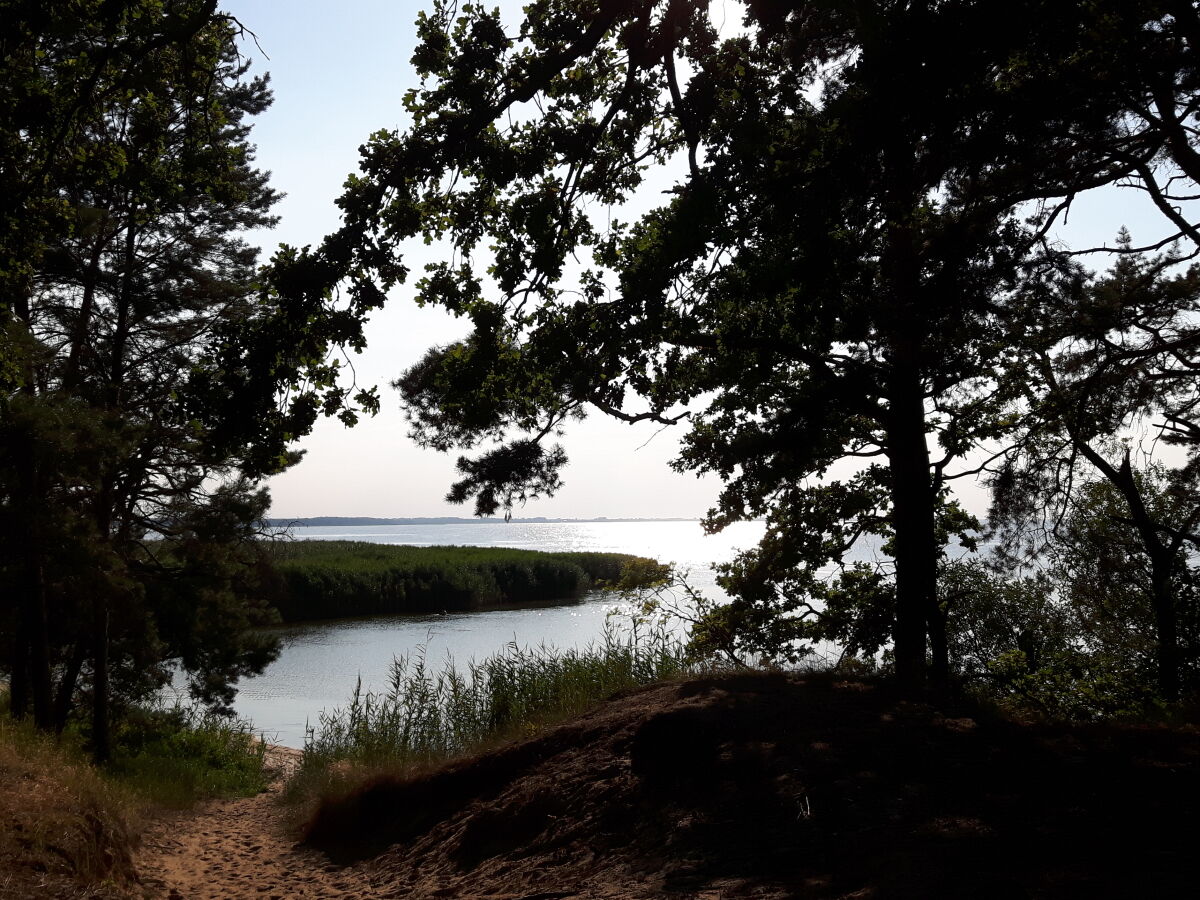 Urlaub am Stettiner Haff mit Familie und Freunden