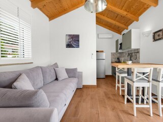 Casa per le vacanze Nova Vas Caratteristiche 19