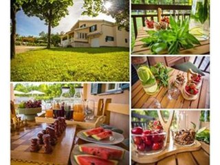 Ferienhaus Imotski Außenaufnahme 9
