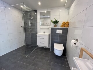 Appartamento per vacanze Ouddorp Caratteristiche 21