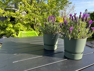 Appartamento per vacanze Ouddorp Registrazione all'aperto 6