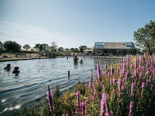 Appartamento per vacanze Ouddorp Ambiente 30