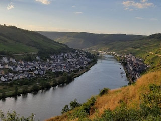 Blick auf Zell (Mosel)