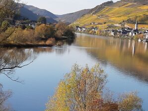 Ferienwohnung Haus Moselufer - Zell Mosel - image1