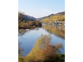 Blick vom Balkon in Richtung Zell-Merl