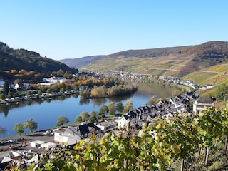 Blick aus den Weinbergen auf Zell (Mosel)