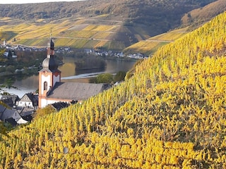 Zell im Herbst