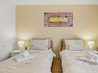 Villa Šišan Équipement 41