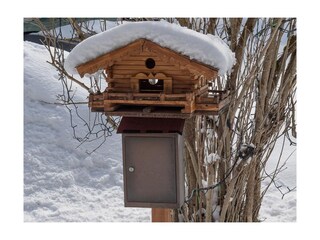 Vogelhäuschen Garten Haus Steinröschen Seefeld