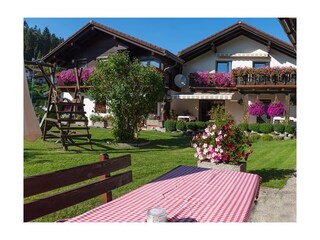 Haus Steinröschen Sommer Garten