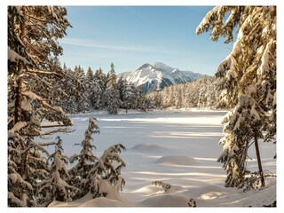 Winterlandschaft