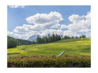 Balkon Sommer