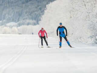 Casa de campo Gsies Entorno 15