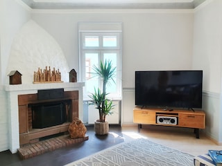 Kamin und großer Sat-TV