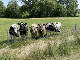 Ferienhaus Otterndorf Umgebung 26