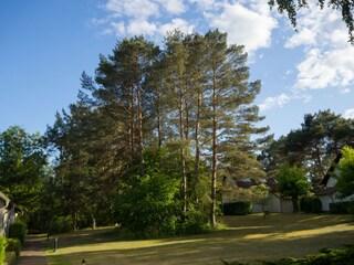 Park vor dem Haus