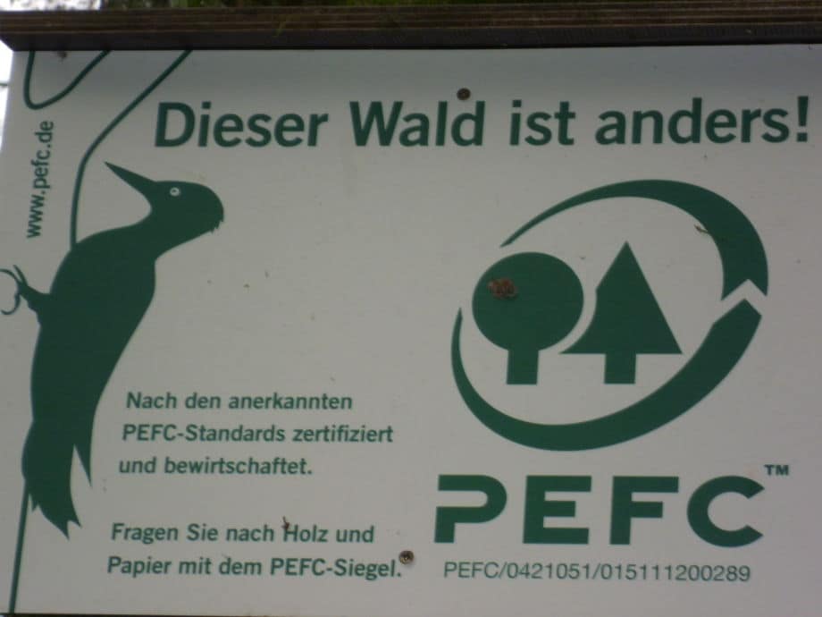 Auf dem Körper des Menschen die Parasiten