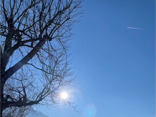 Vakantieappartement Bad Reichenhall Omgeving 31