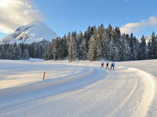 Traumloipen in der Olympiaregion Seefeld Leutasch